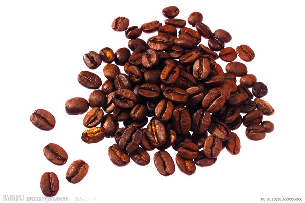 进口咖啡豆报关报检需要办理哪些手续